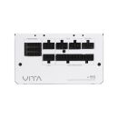 FSP VITA PM / 850W / ATX 3.1 / 80PLUS Platinum / Modular / Retail PPA8505403