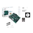 ASUS PRO A520M-C / CSM / AM4 / mATX 90MB1550-M0EAYC